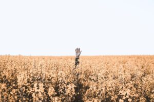 How to Find a Buyer For Your Company